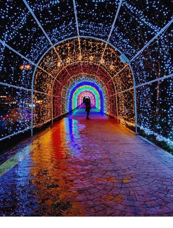 تفریحات تابستانی برای بزرگترها | سفرهای تابستانی | مکان های دیدنی | گردش های درون شهری